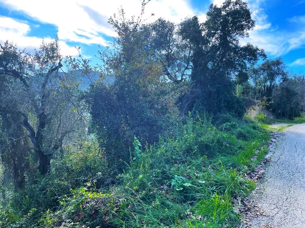 Land in Corfu, Corfu Prefecture, Greece – 57706