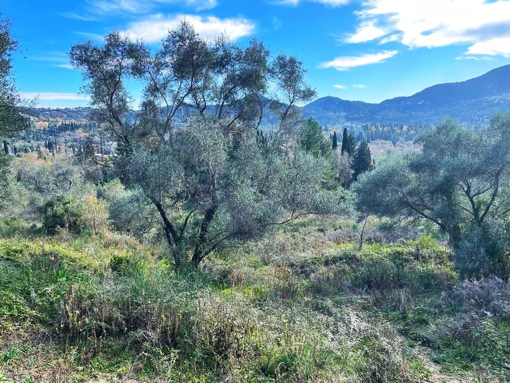 Land in Corfu, Corfu Prefecture, Greece – 57706