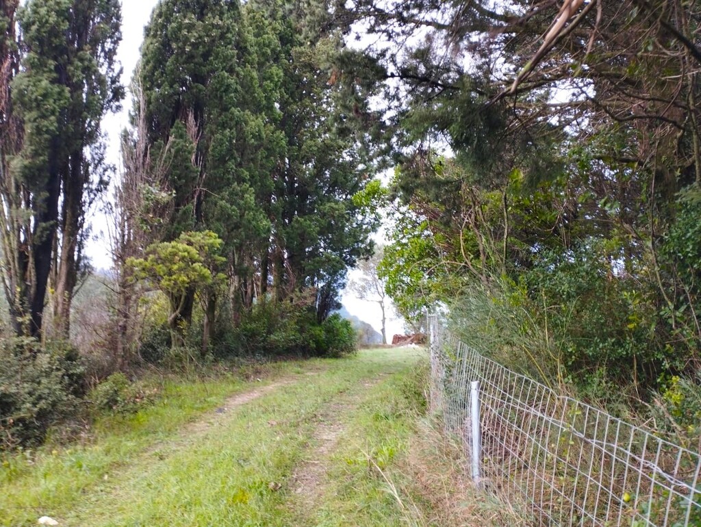 Land in Corfu, Corfu Prefecture, Greece – 57684