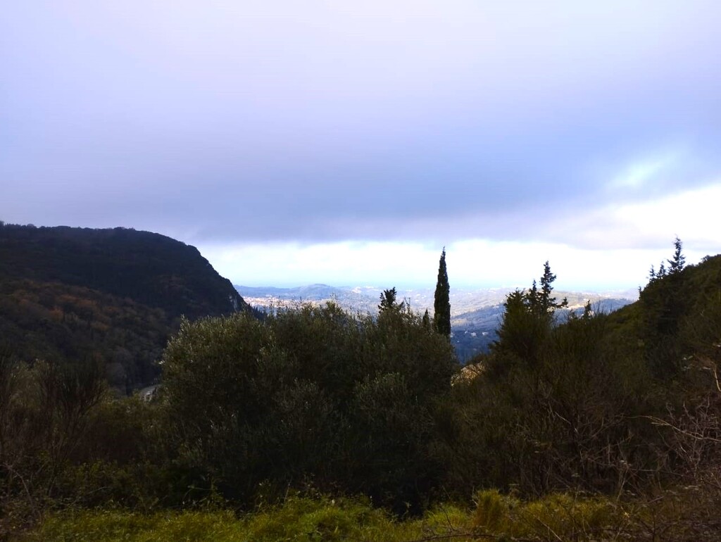 Land in Corfu, Corfu Prefecture, Greece – 57684
