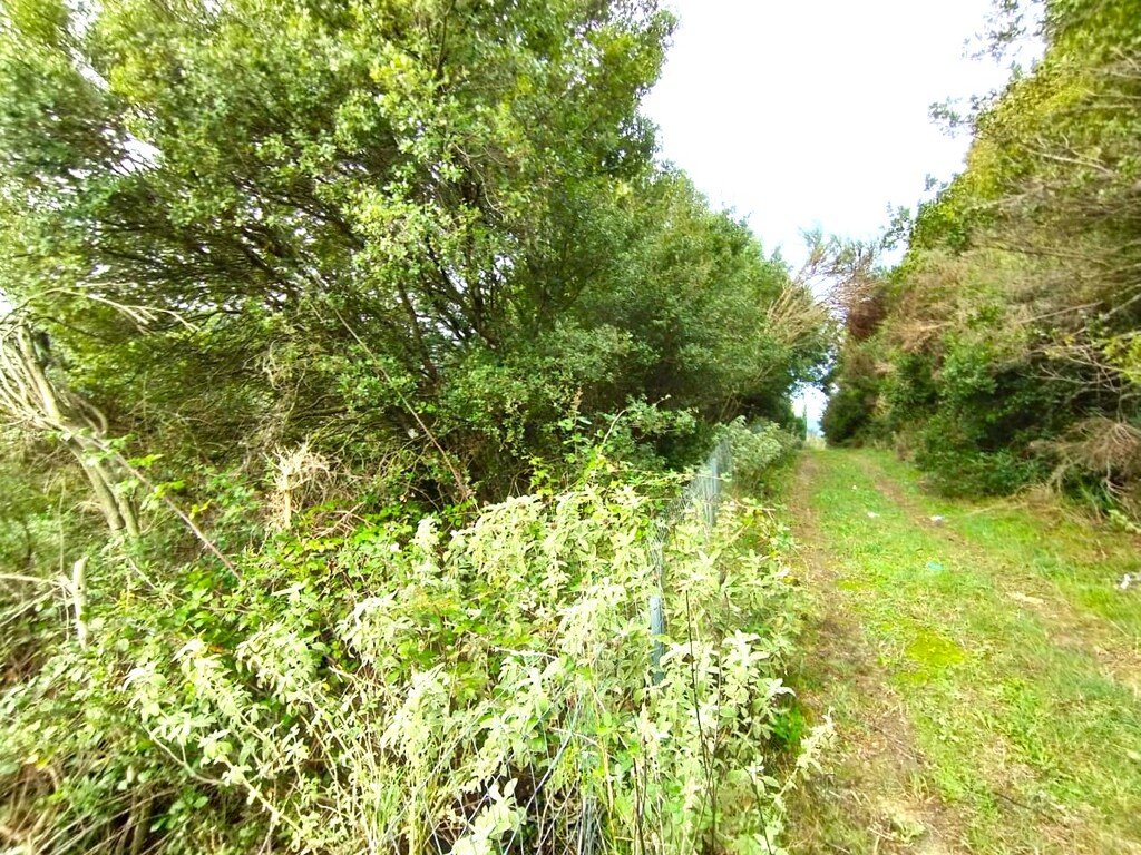 Land in Corfu, Corfu Prefecture, Greece – 57684