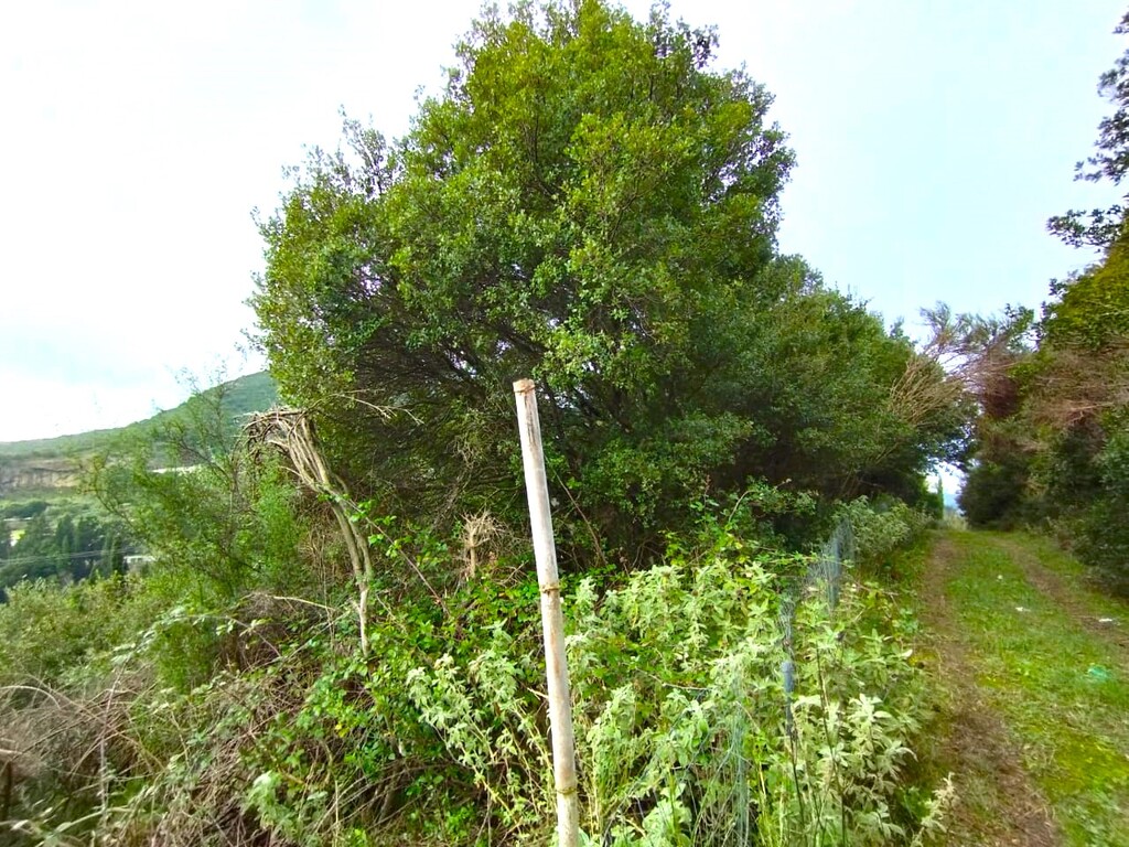 Land in Corfu, Corfu Prefecture, Greece – 57684