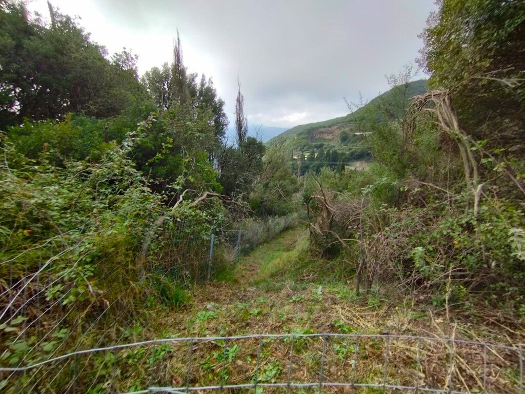 Land in Corfu, Corfu Prefecture, Greece – 57684
