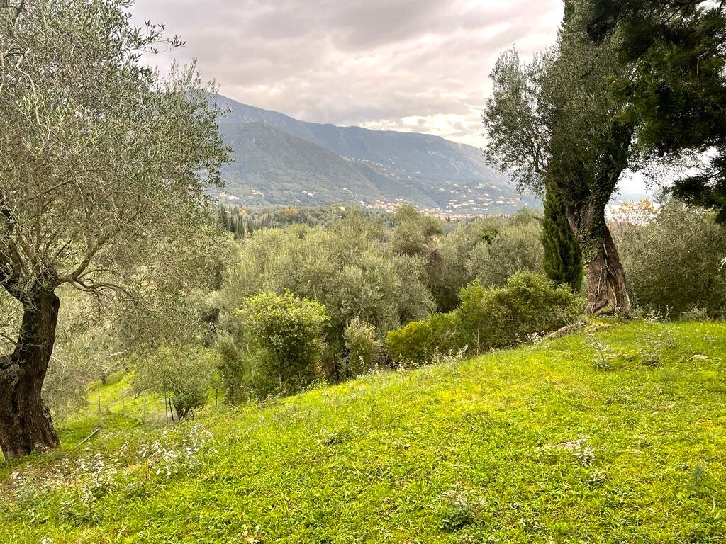 Land in Corfu, Corfu Prefecture, Greece – 57653