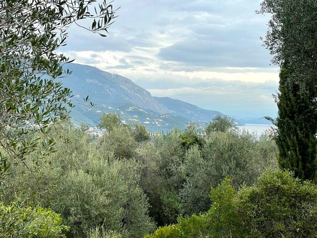 Land in Corfu, Corfu Prefecture, Greece – 57653