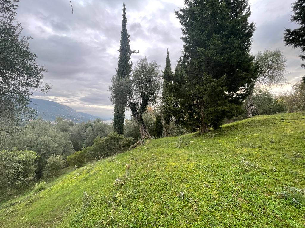 Land in Corfu, Corfu Prefecture, Greece – 57653