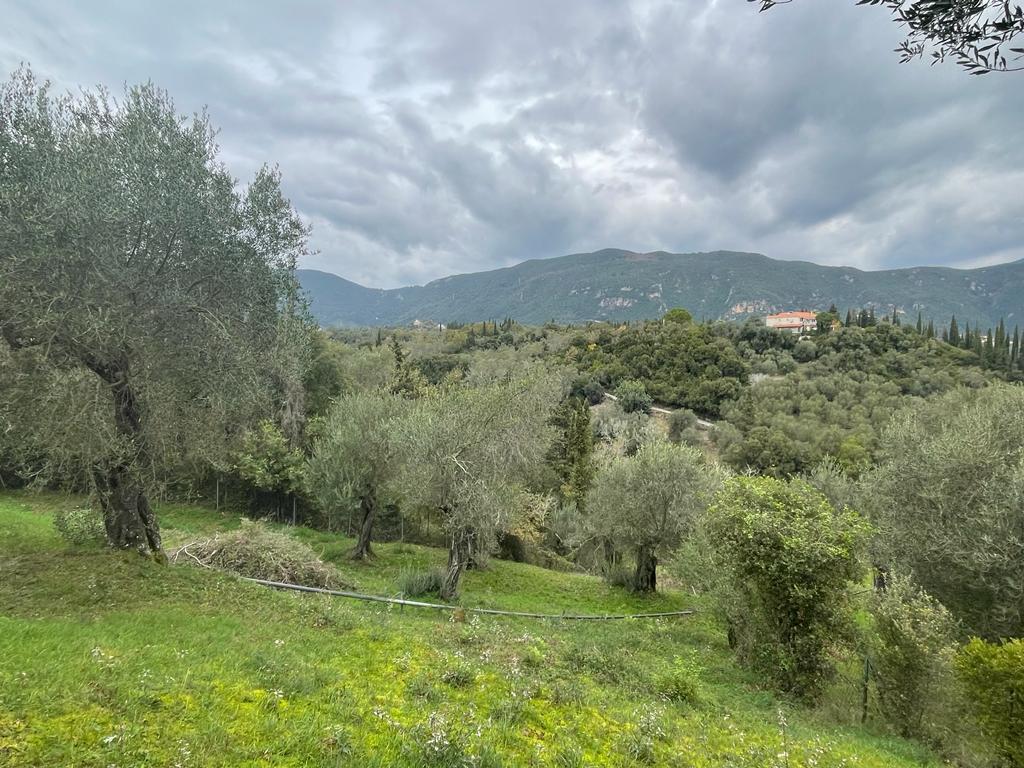 Land in Corfu, Corfu Prefecture, Greece – 57653