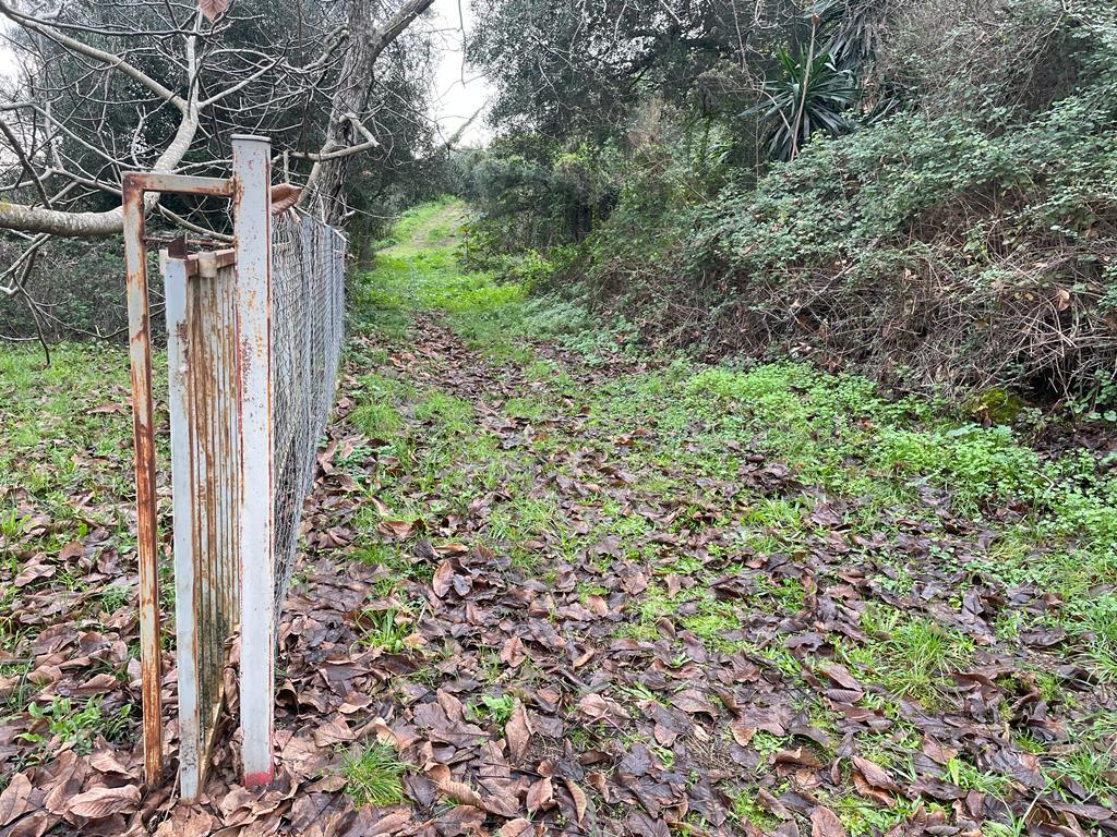 Land in Corfu, Corfu Prefecture, Greece – 57653