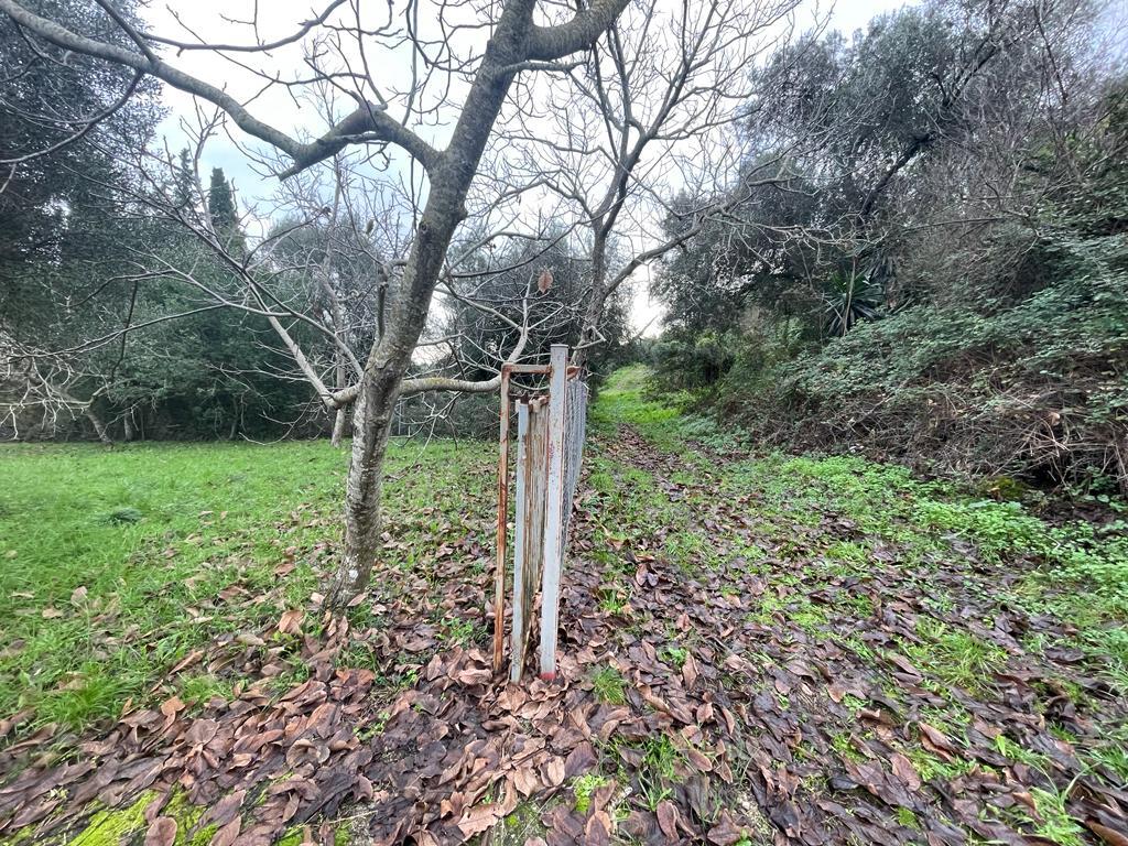Land in Corfu, Corfu Prefecture, Greece – 57653
