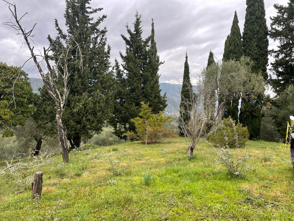 Land in Corfu, Corfu Prefecture, Greece – 57653