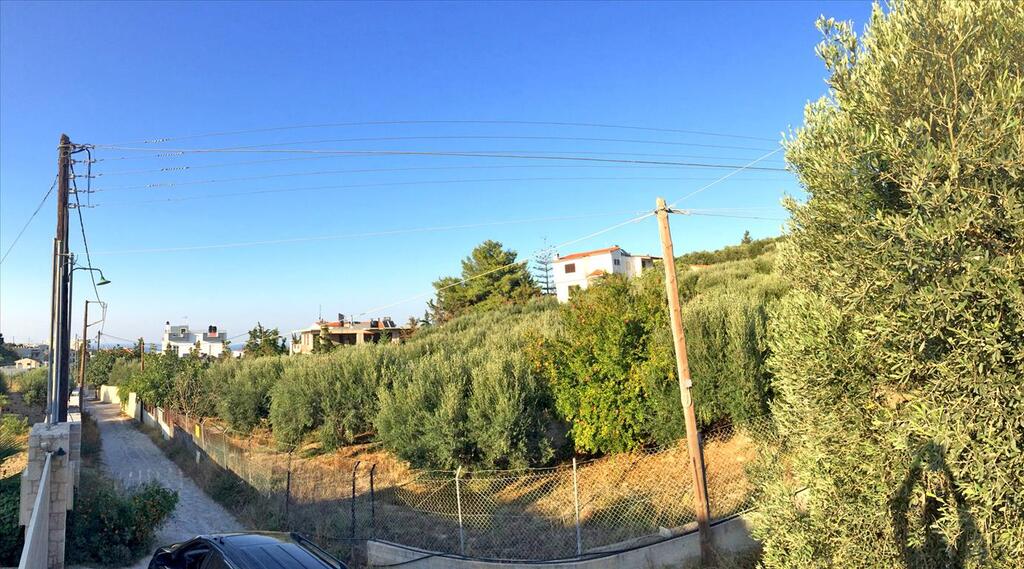Land in Temenos, Heraklion Prefecture, Greece – 57571
