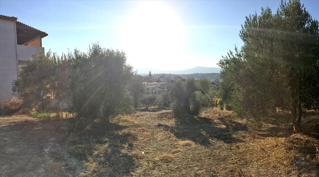 Land in Temenos, Heraklion Prefecture, Greece – 57571