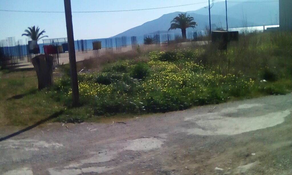 Land in North Kinouria, Arcadia, Greece – 57483