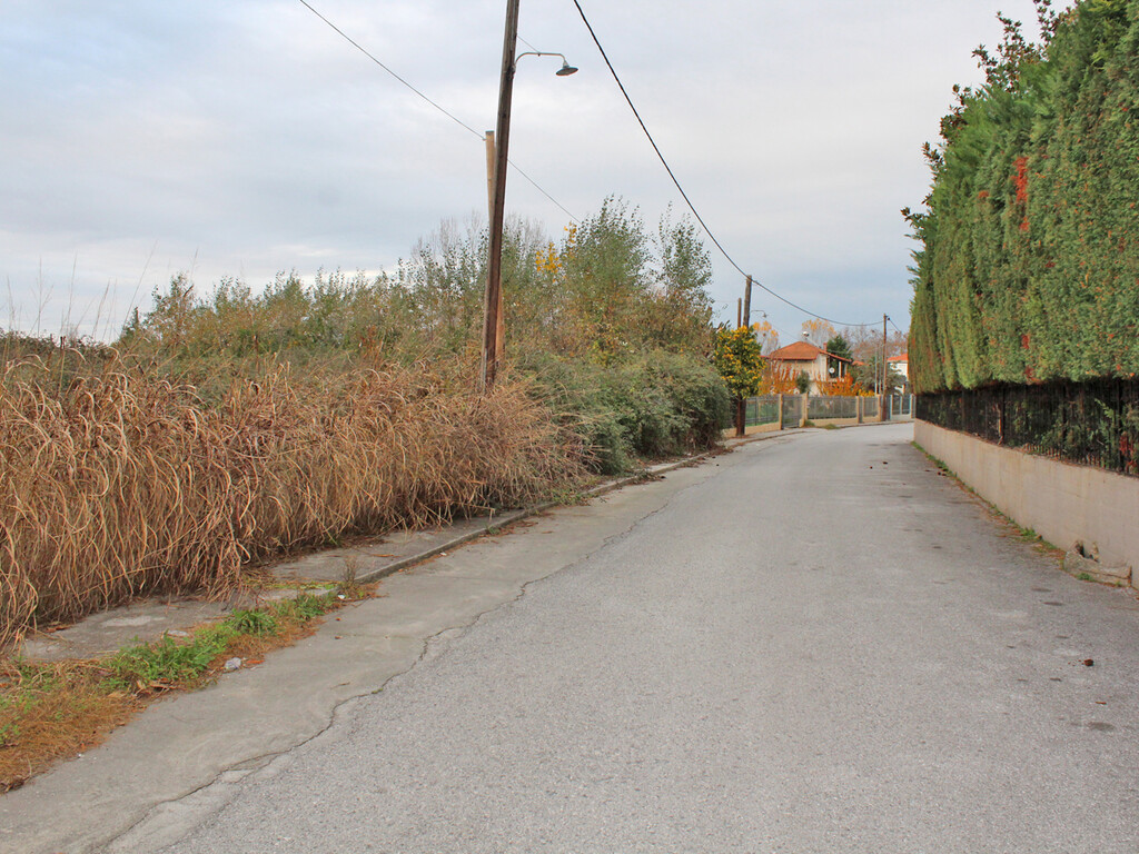 Land in Litochoro, Pieria Prefecture, Greece – 57460