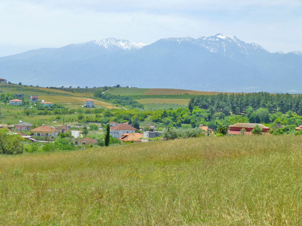 Land in Elafina, Pieria Prefecture, Greece – 57290