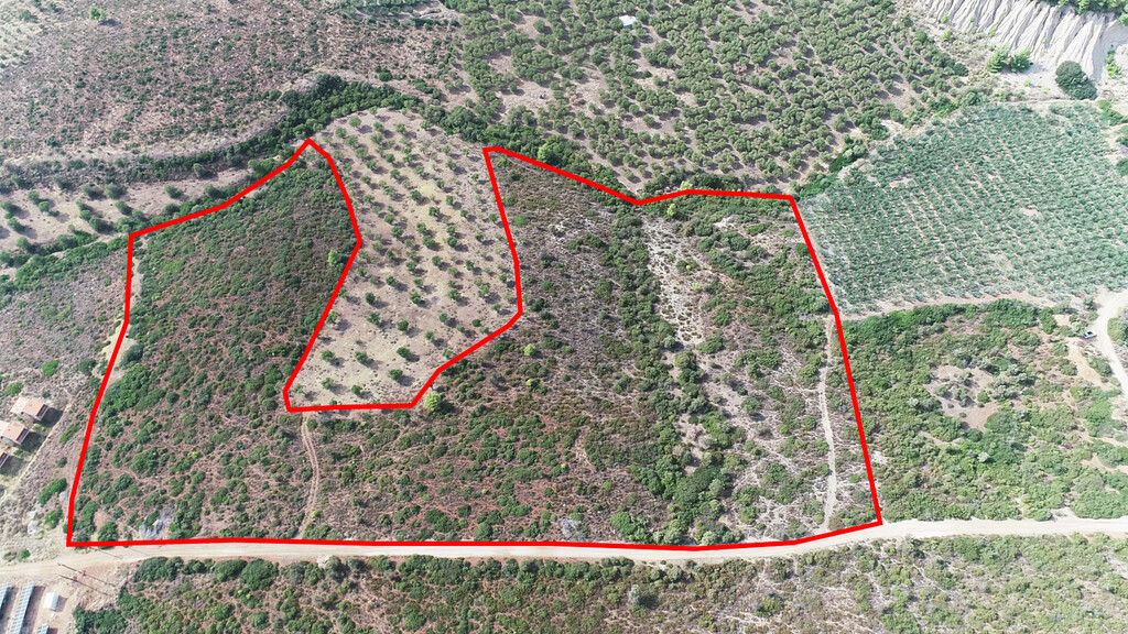 Land in Poligiros, Chalkidiki, Greece – 57227
