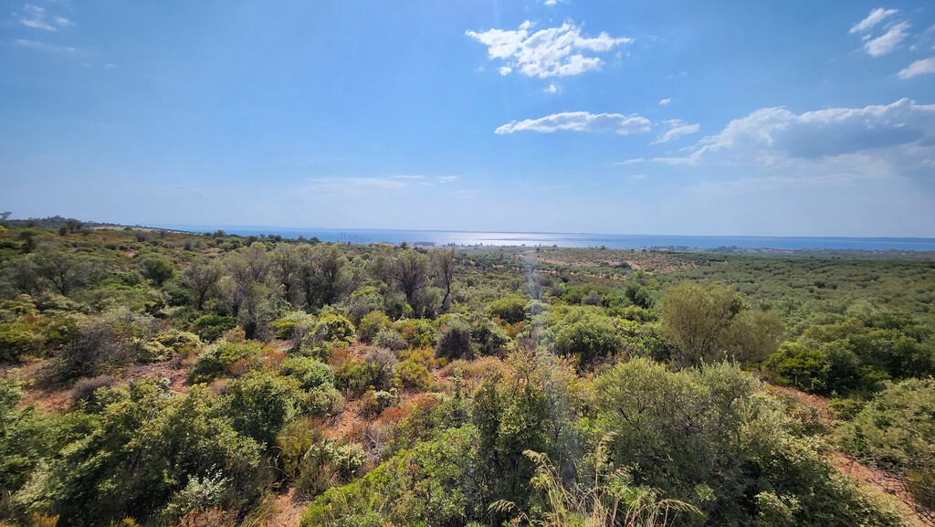Land in Poligiros, Chalkidiki, Greece – 57227