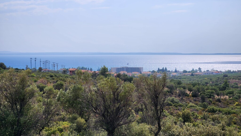 Land in Poligiros, Chalkidiki, Greece – 57227