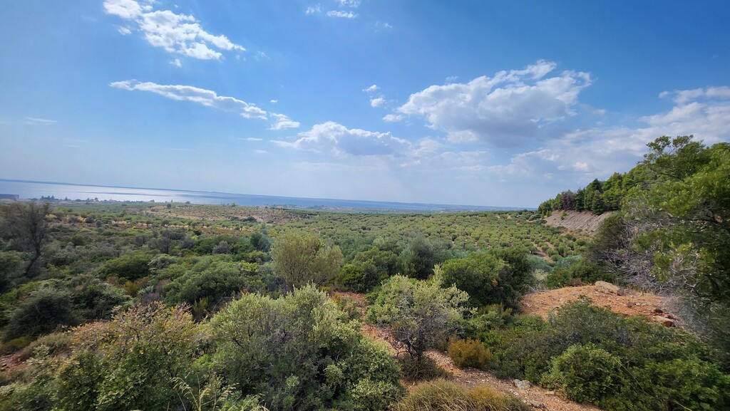 Land in Poligiros, Chalkidiki, Greece – 57227