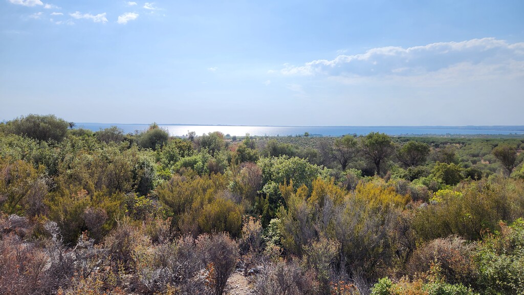 Land in Poligiros, Chalkidiki, Greece – 57227