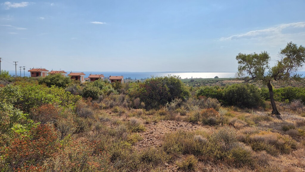 Land in Poligiros, Chalkidiki, Greece – 57227
