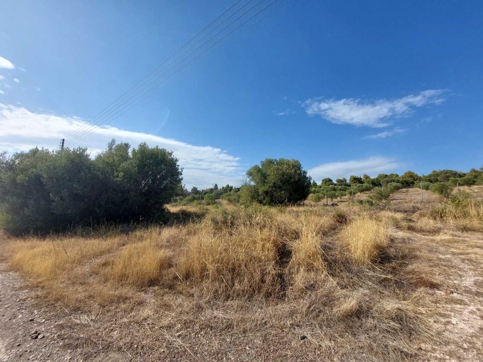 Land in Poligiros, Chalkidiki, Greece – 57224