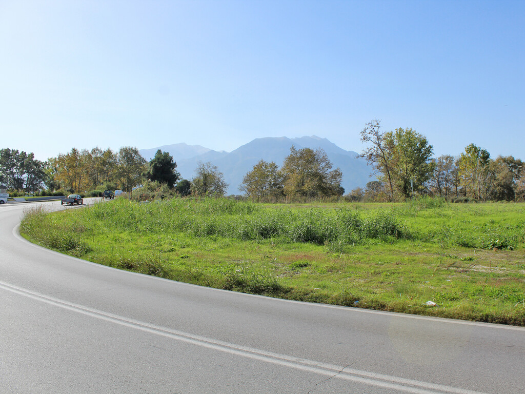 Land in Katerini, Pieria Prefecture, Greece – 57190