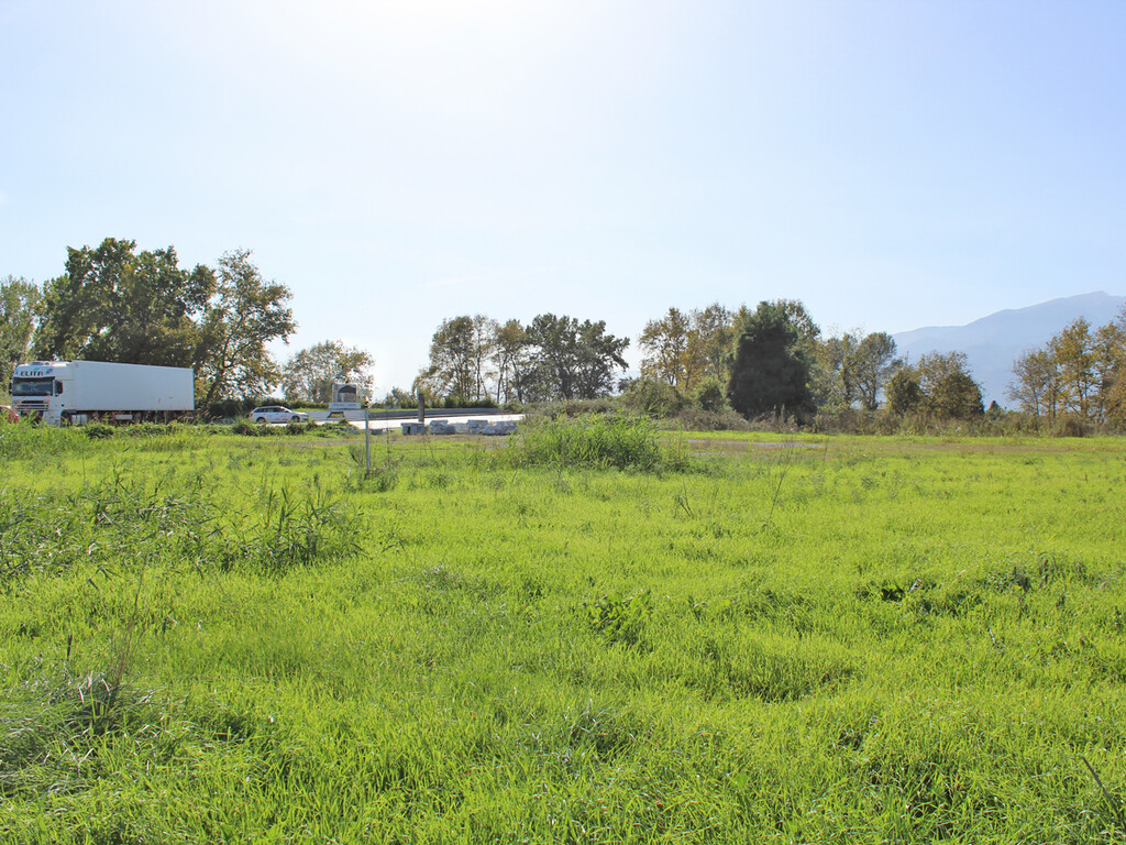 Land in Katerini, Pieria Prefecture, Greece – 57190