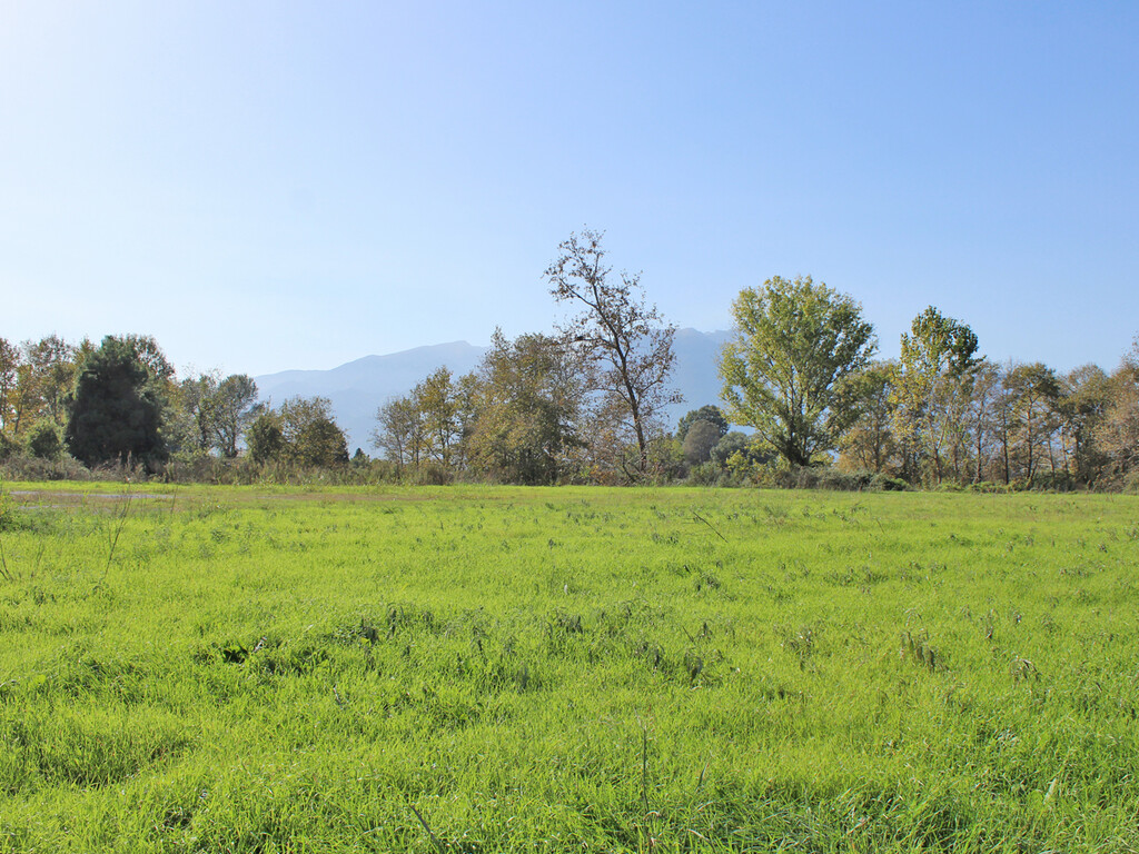 Land in Katerini, Pieria Prefecture, Greece – 57190