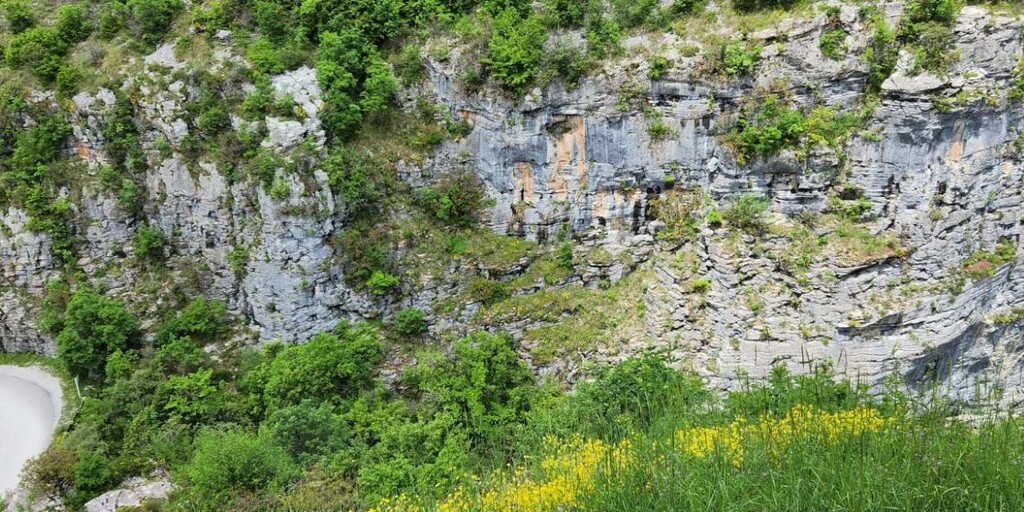 Land in Timfi, Ioannina Prefecture, Greece – 57188