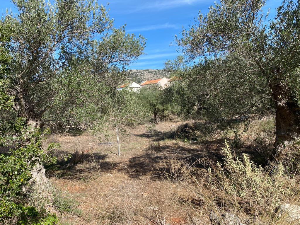 Land in Vamos, Chania Prefecture, Greece – 57164