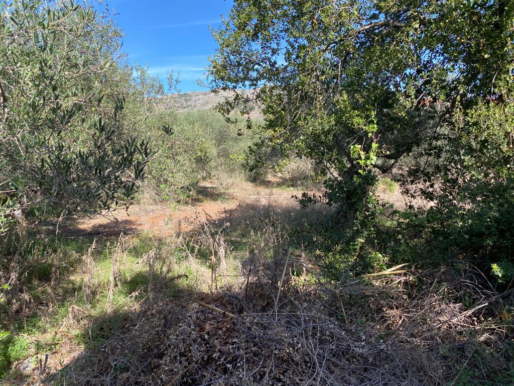 Land in Vamos, Chania Prefecture, Greece – 57164