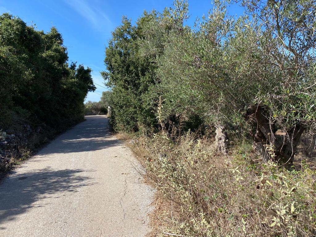 Land in Vamos, Chania Prefecture, Greece – 57164