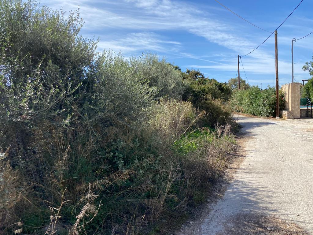 Land in Vamos, Chania Prefecture, Greece – 57163