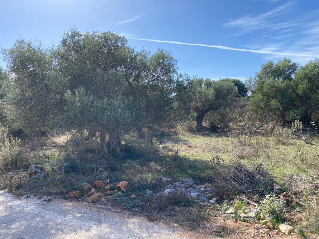 Land in Vamos, Chania Prefecture, Greece – 57161