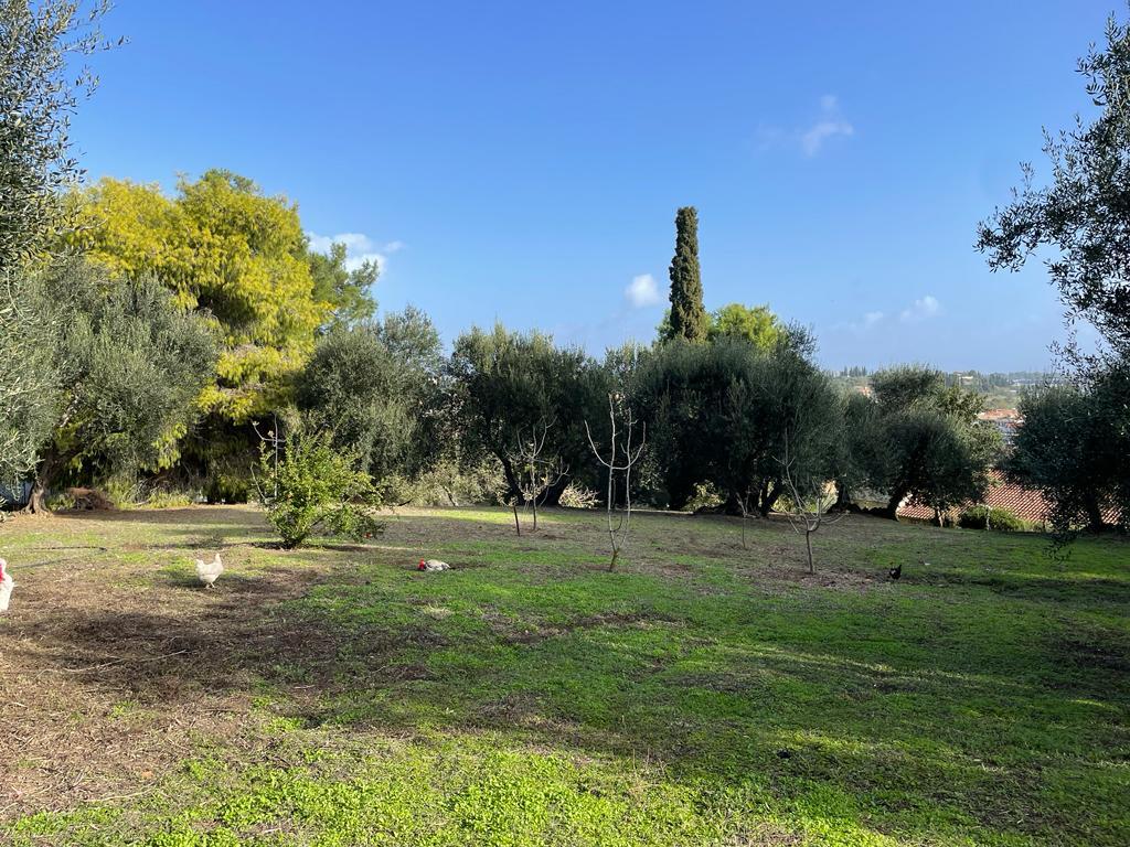 Land in Corfu, Corfu Prefecture, Greece – 57121