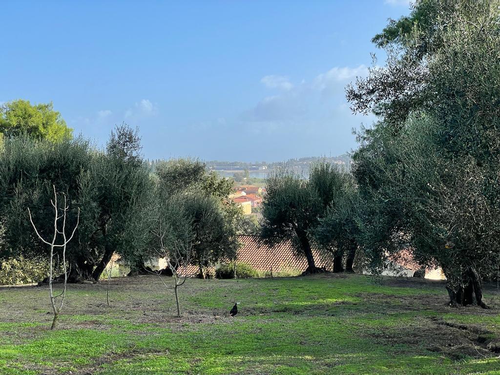 Land in Corfu, Corfu Prefecture, Greece – 57121