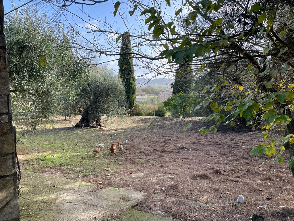 Land in Corfu, Corfu Prefecture, Greece – 57121