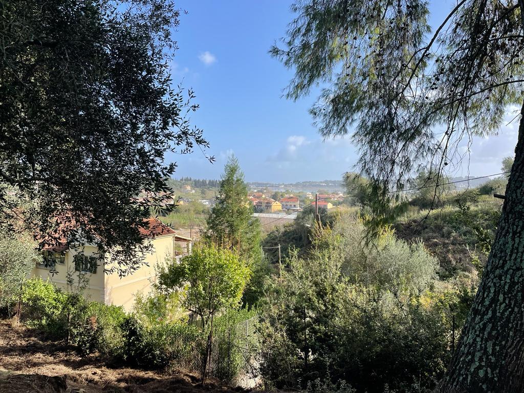 Land in Corfu, Corfu Prefecture, Greece – 57121