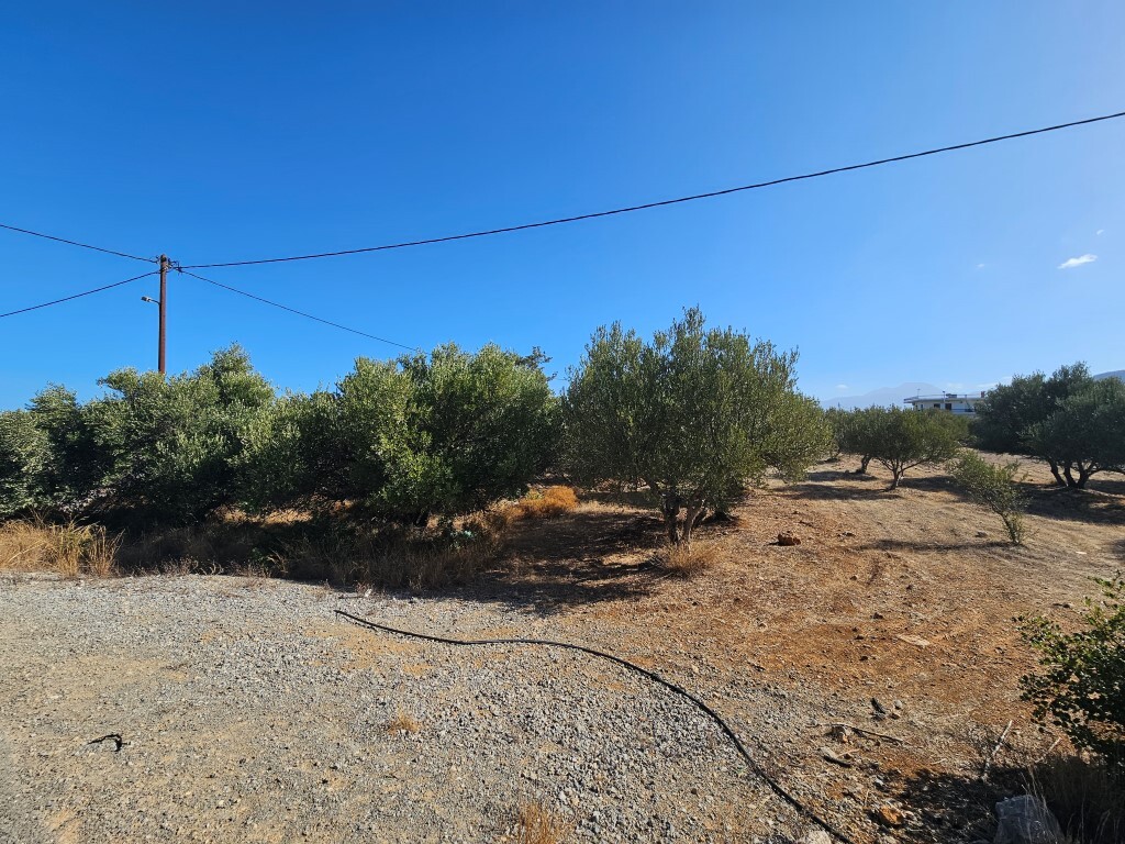 Land in Agios Nikolaos, Lasithi Prefecture, Greece – 57113