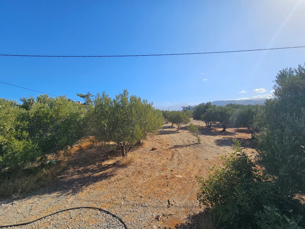 Land in Agios Nikolaos, Lasithi Prefecture, Greece – 57113