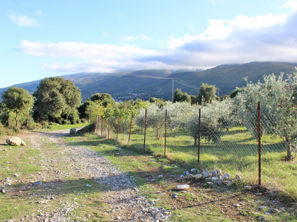 Land in Easts Olimpos, Pieria Prefecture, Greece – 57111