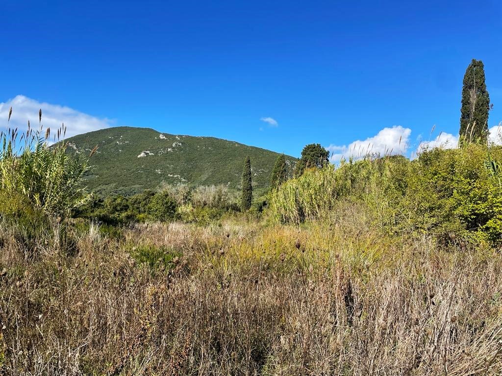 Land in Corfu, Corfu Prefecture, Greece – 57099