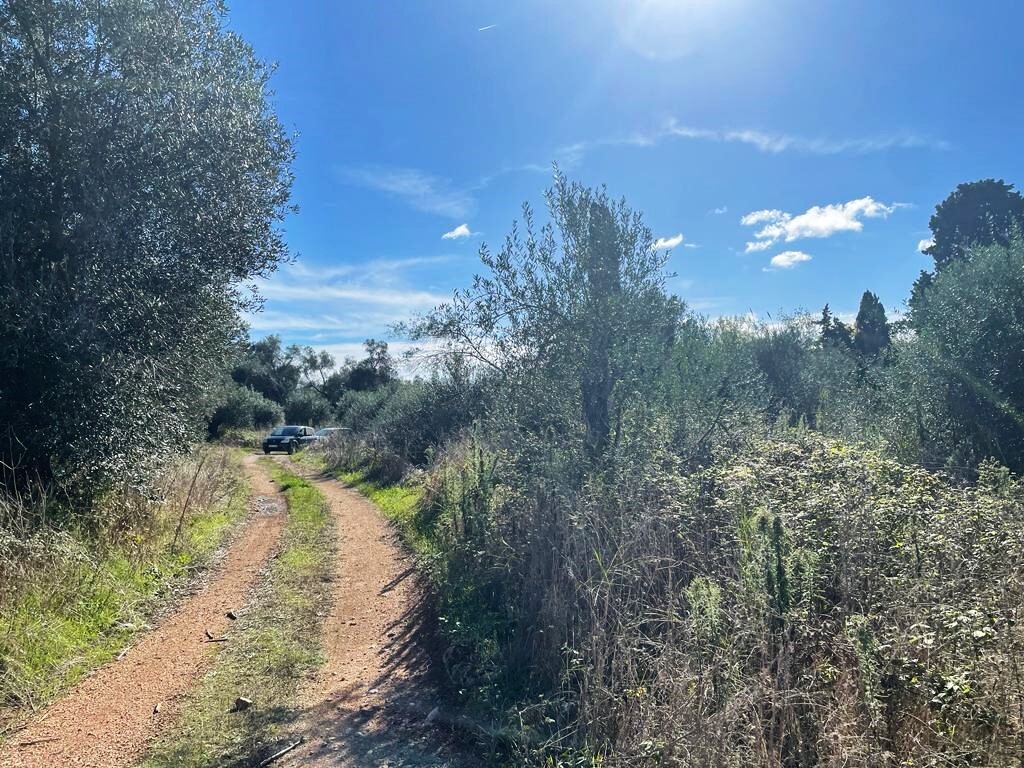 Land in Corfu, Corfu Prefecture, Greece – 57099