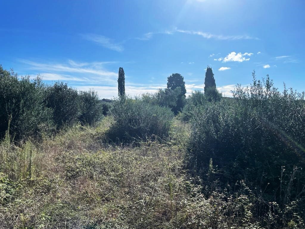Land in Corfu, Corfu Prefecture, Greece – 57099
