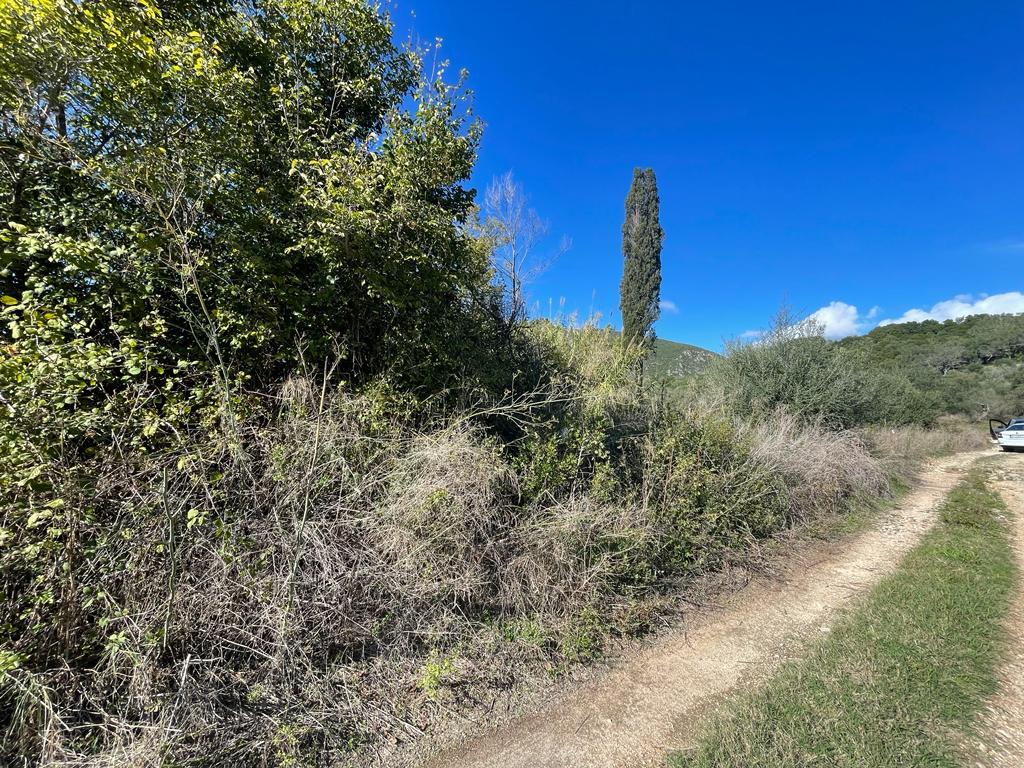 Land in Corfu, Corfu Prefecture, Greece – 57099