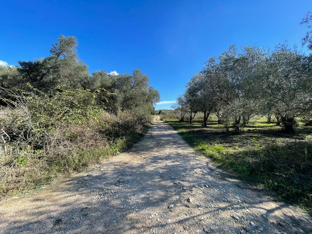 Land in Corfu, Corfu Prefecture, Greece – 57099