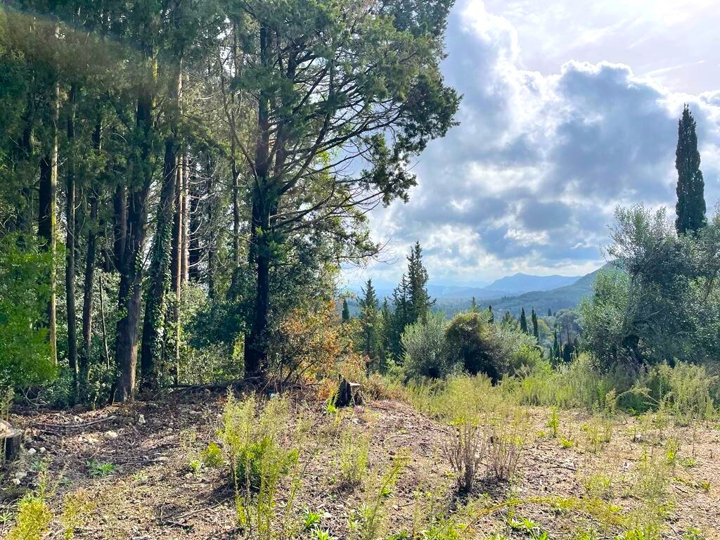 Land in Corfu, Corfu Prefecture, Greece – 57083