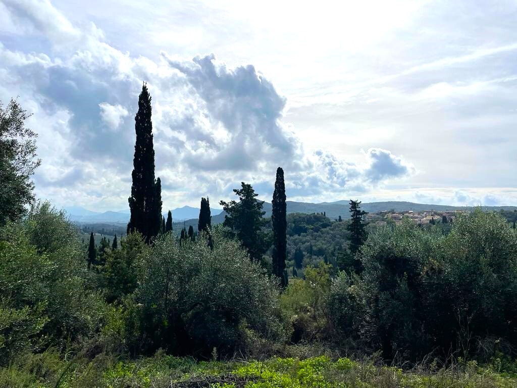 Land in Corfu, Corfu Prefecture, Greece – 57083