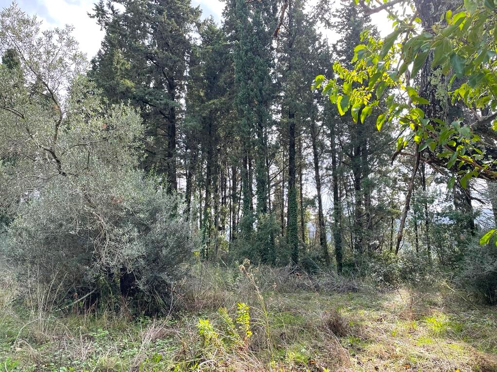 Land in Corfu, Corfu Prefecture, Greece – 57083